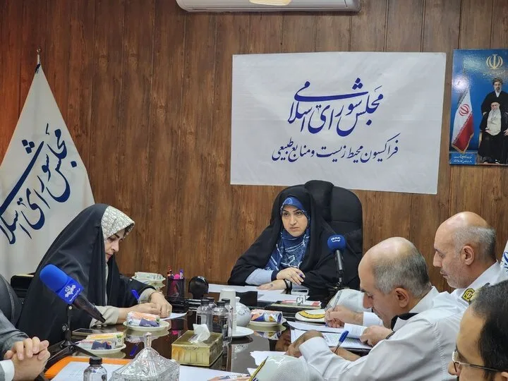 رئیس فراکسیون محیط زیست مجلس: باید ۵۰۰ هزار خودرو در سال اسقاط شود