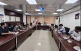 تأکید بر ضرورت همکاری کیشوندان در حذف کانون‌های تکثیر پشه آئدس